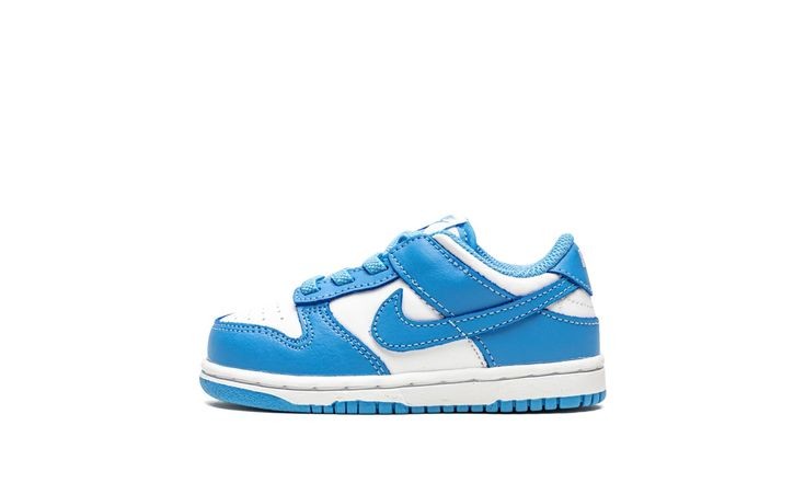 Kids NikeLow Dunk